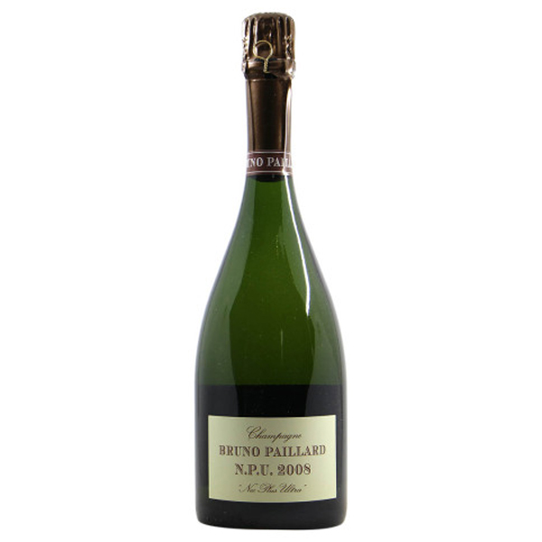 BRUNO PAILLARD - N.P.U. - 2008